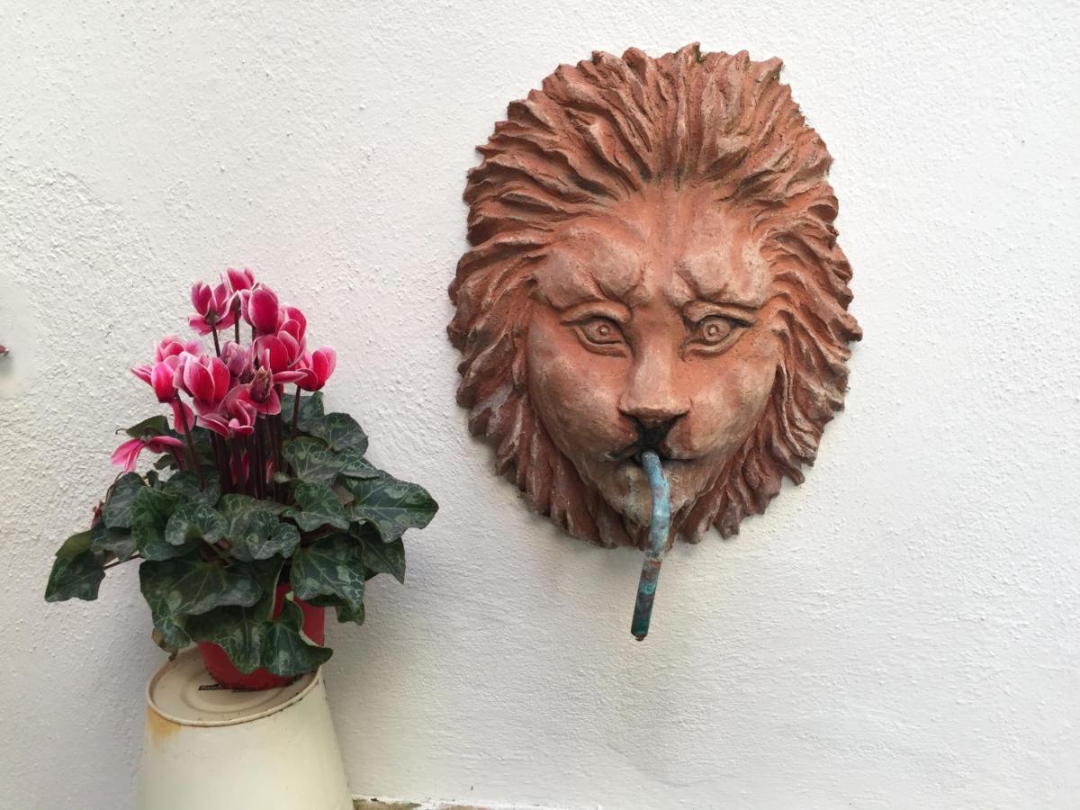 אוריסטאנו Villa Serra B&B Iun E6769 מראה חיצוני תמונה